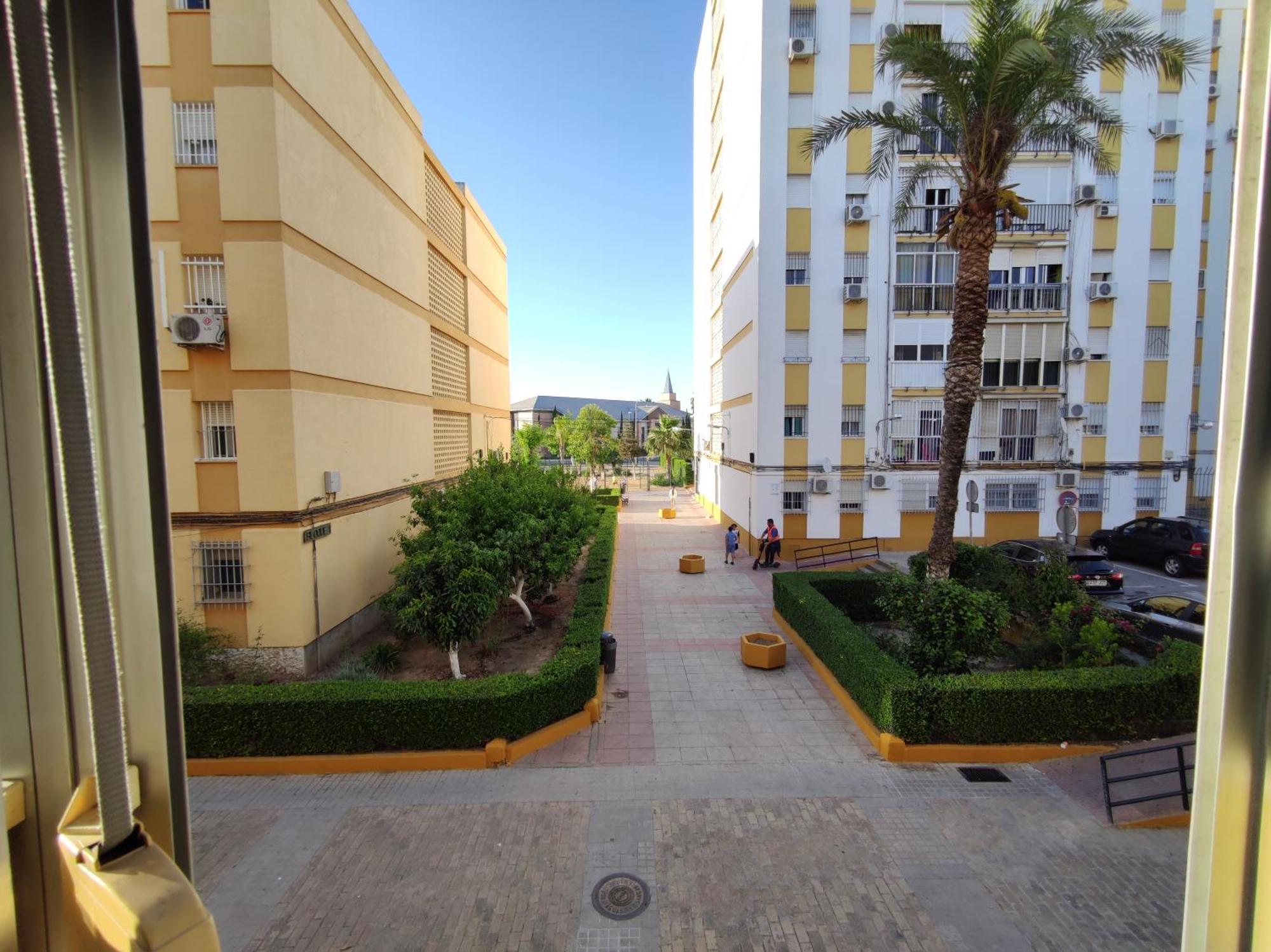 Apartamento Celia Seville Exterior photo